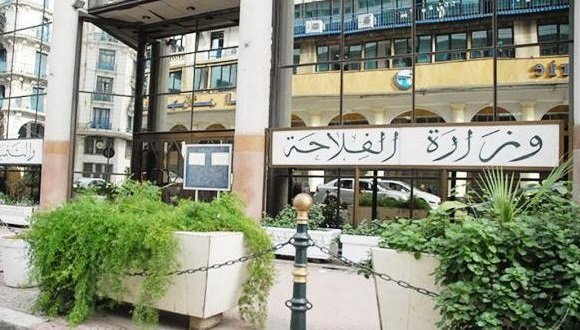 وزارة الفلاحة والتنمية الريفية