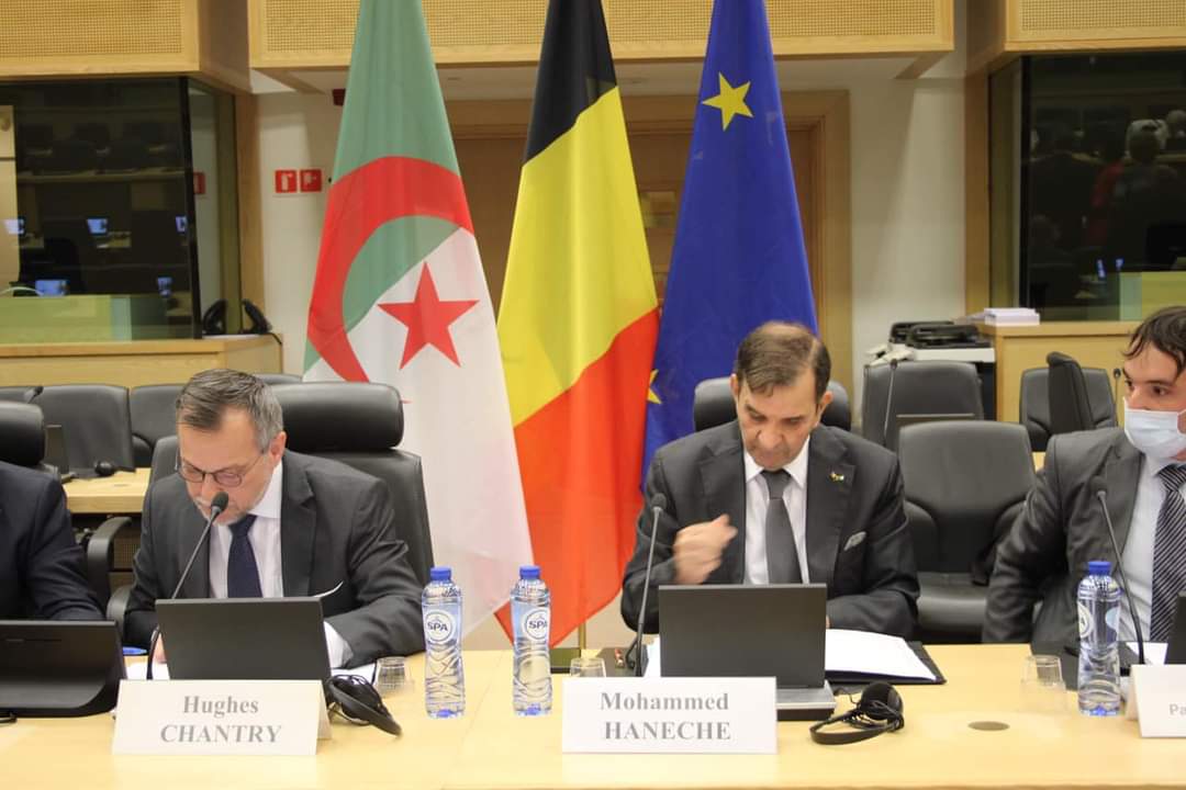 ملتقى ببروكسيل حول العلاقات الجزائرية-البلجيكية
