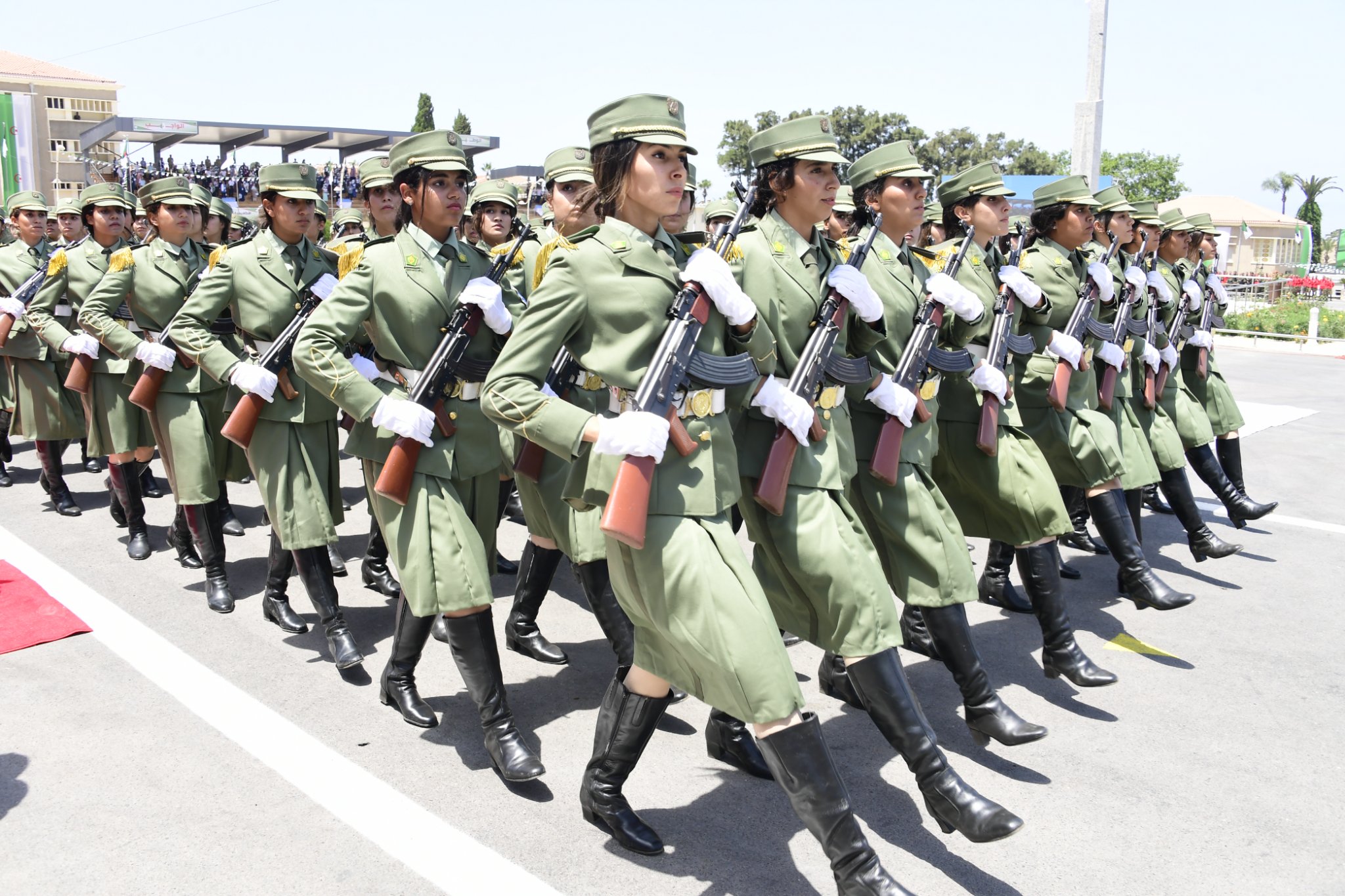 ANP formation.03.08.2022