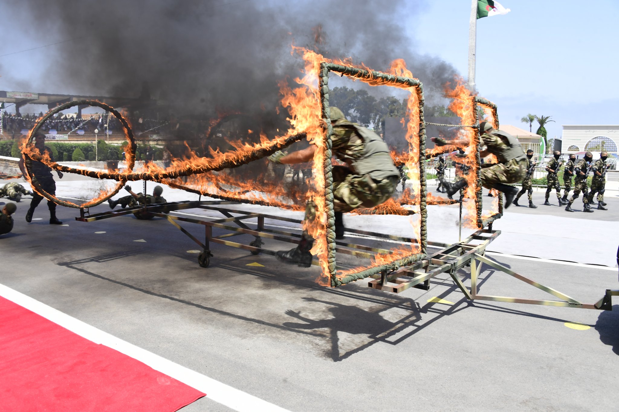 ANP formation.03.08.2022