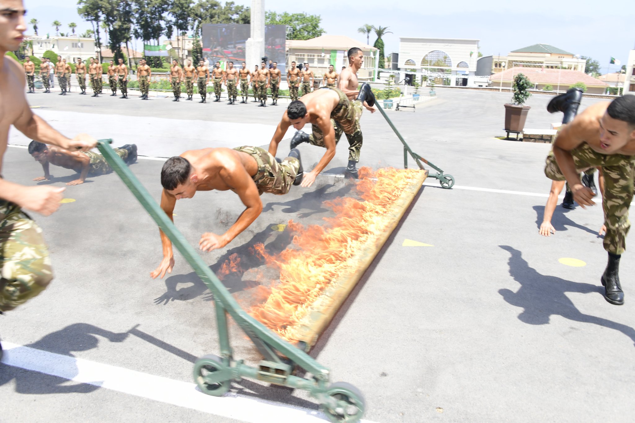 ANP formation.03.08.2022