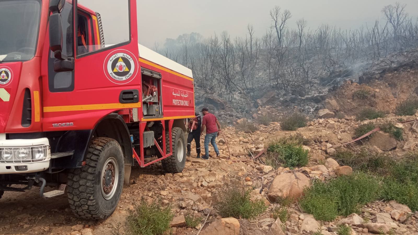 Feux-Taref.18.08.2017