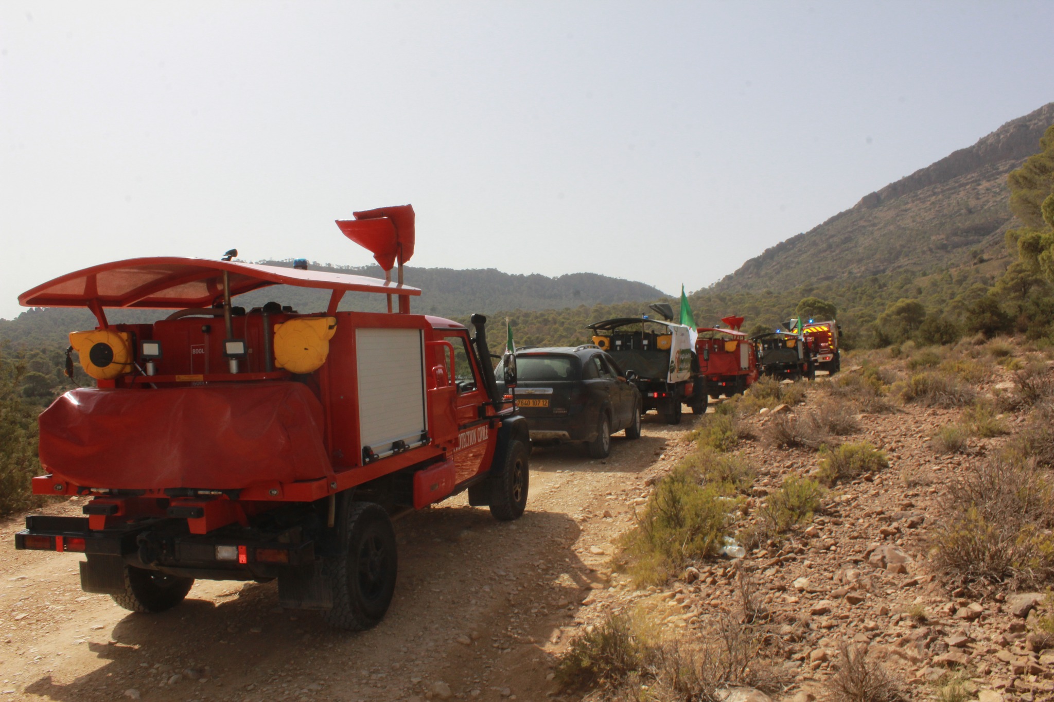 تبسة