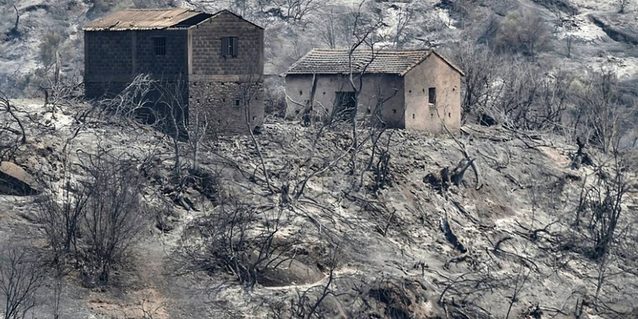 Un bilan macabre des incendies