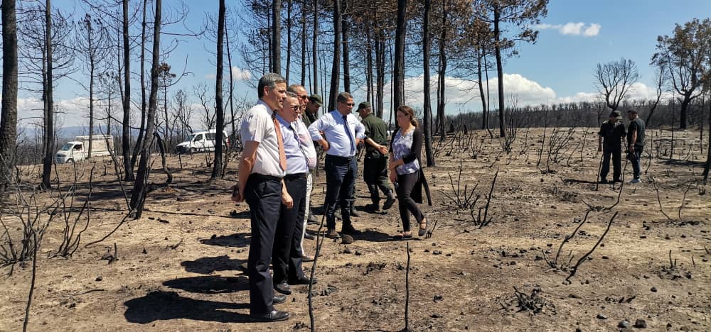 الشروع في عمل لجنة التكفل بمتضرري حرائق الغابات بأول نقطة بولاية الطارف