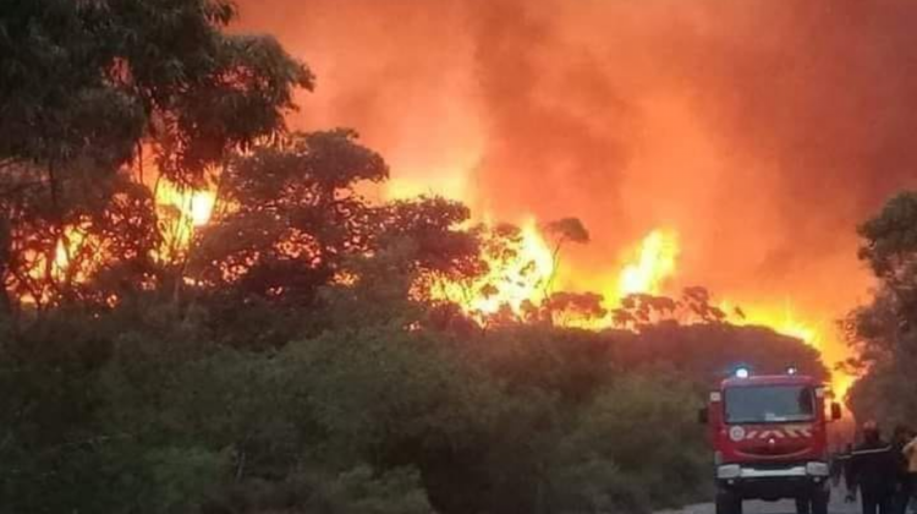 حرائق الطارف