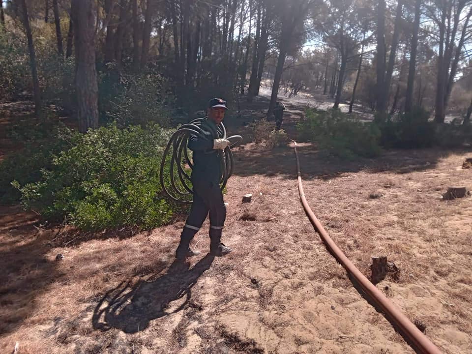 إحصاء الخسائر الناجمة عن الحرائق الاخيرة بالطارف