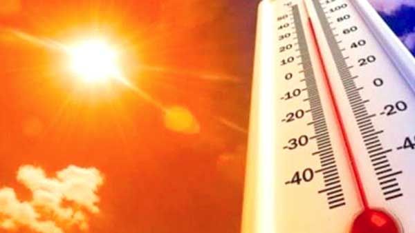 الديوان الوطني للارصاد الجوية