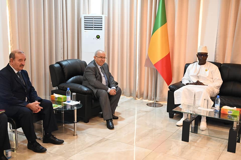 lamamra-mali-diaw.jpg