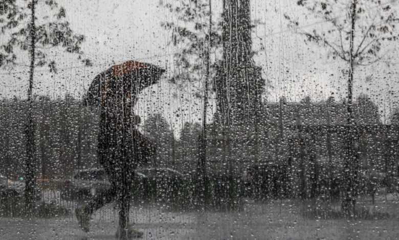 Pluies et orages sur plusieurs wilayas