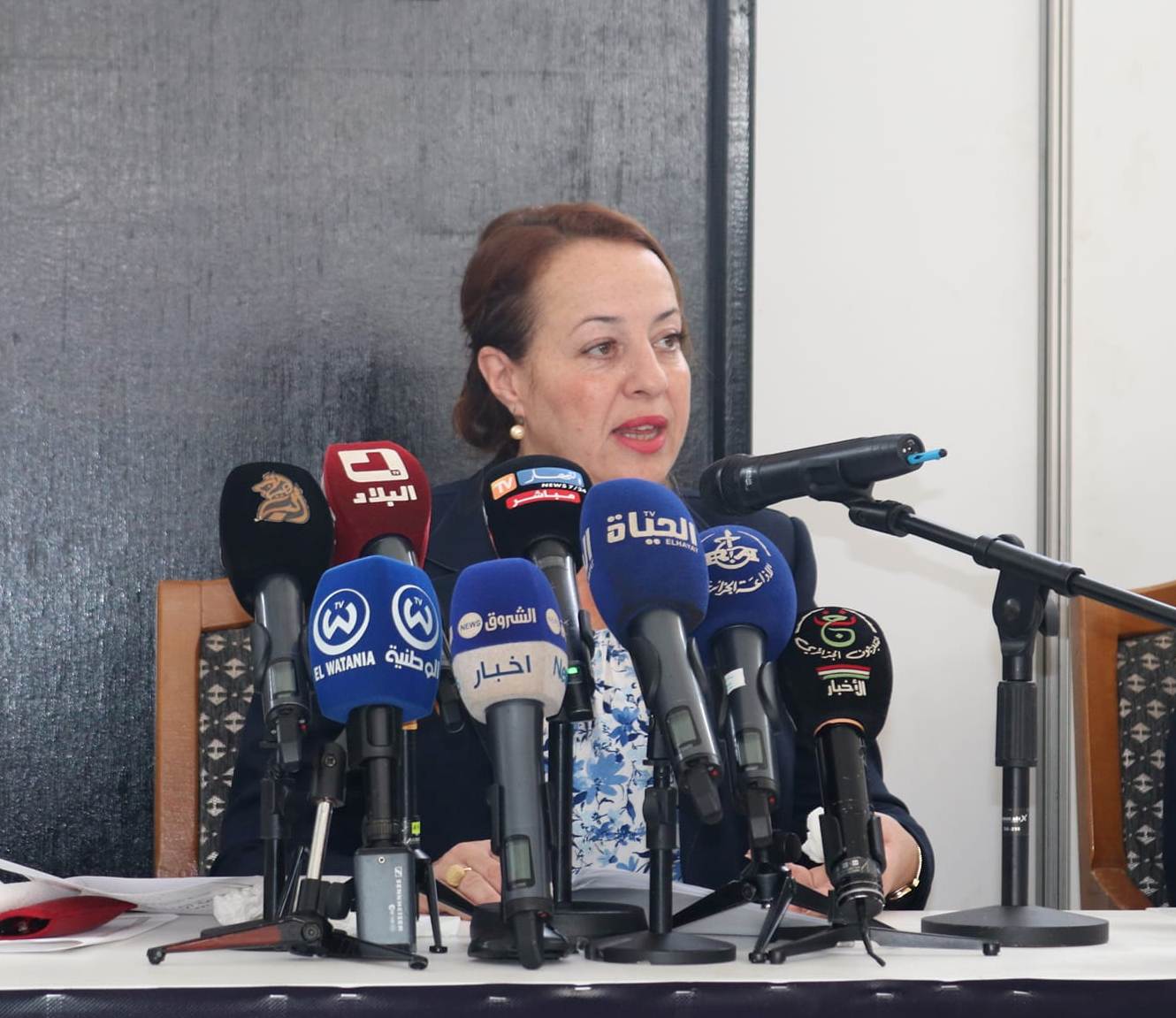 ministre de l'Environnement des Energies renouvelables, Samia Moualfi.