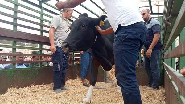 تعويض المتضررين