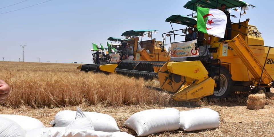 الأمن الغذائي-الجزائر