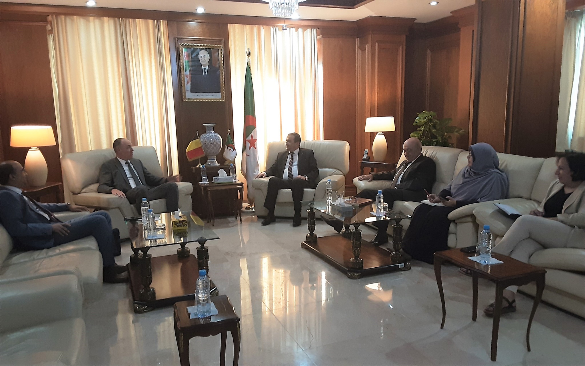 الجزائر-بلجيكا