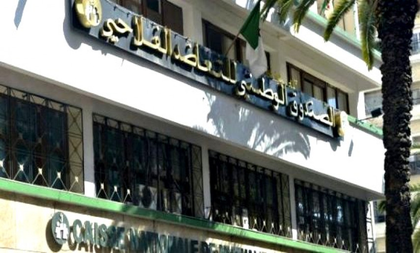 Siège national de la CNMA