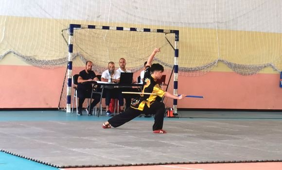 كونغ فو ووشو