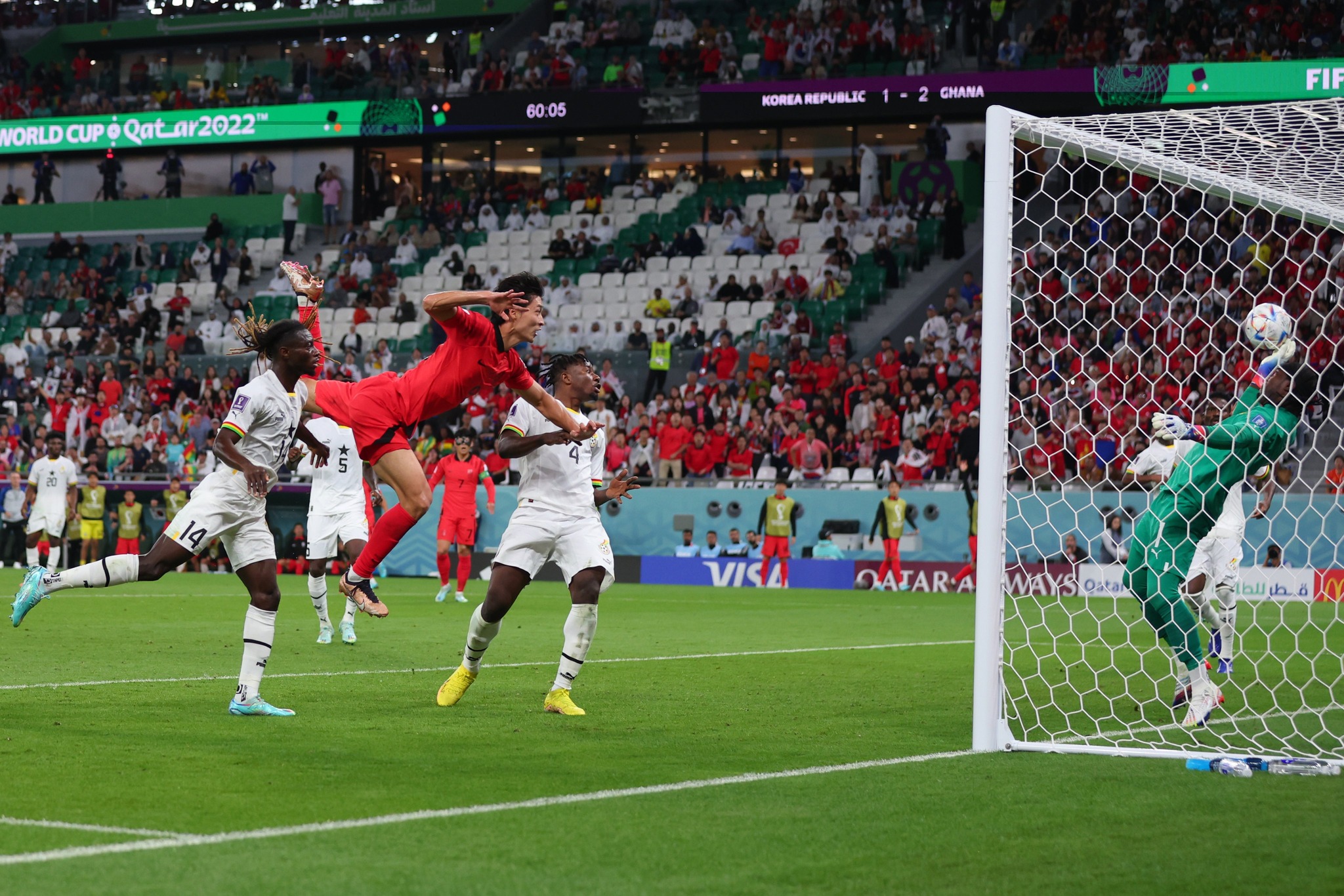 كأس العالم- 2022 قطر