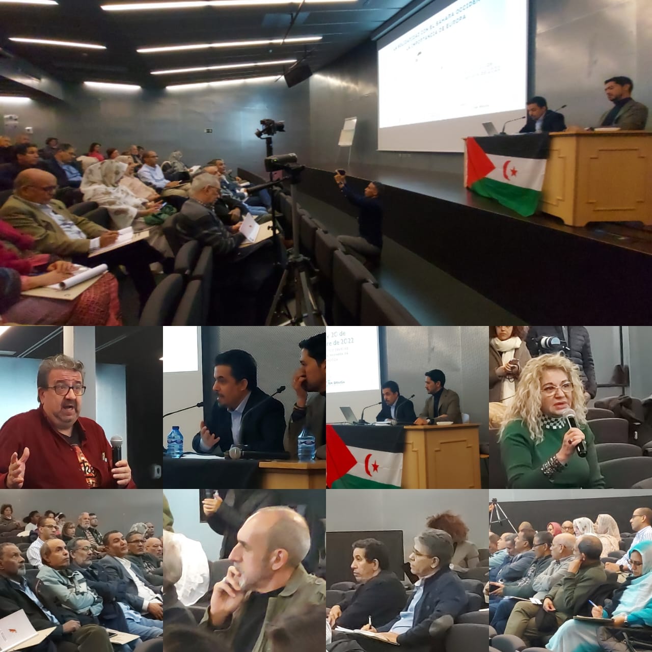 الصحراء الغربية