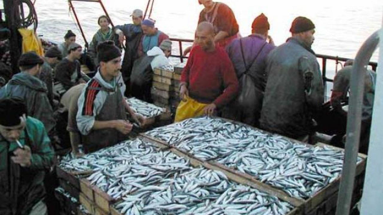 الصيد البحري