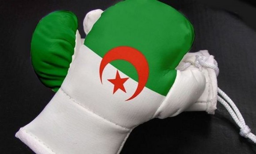 الملاكمة الجزائرية
