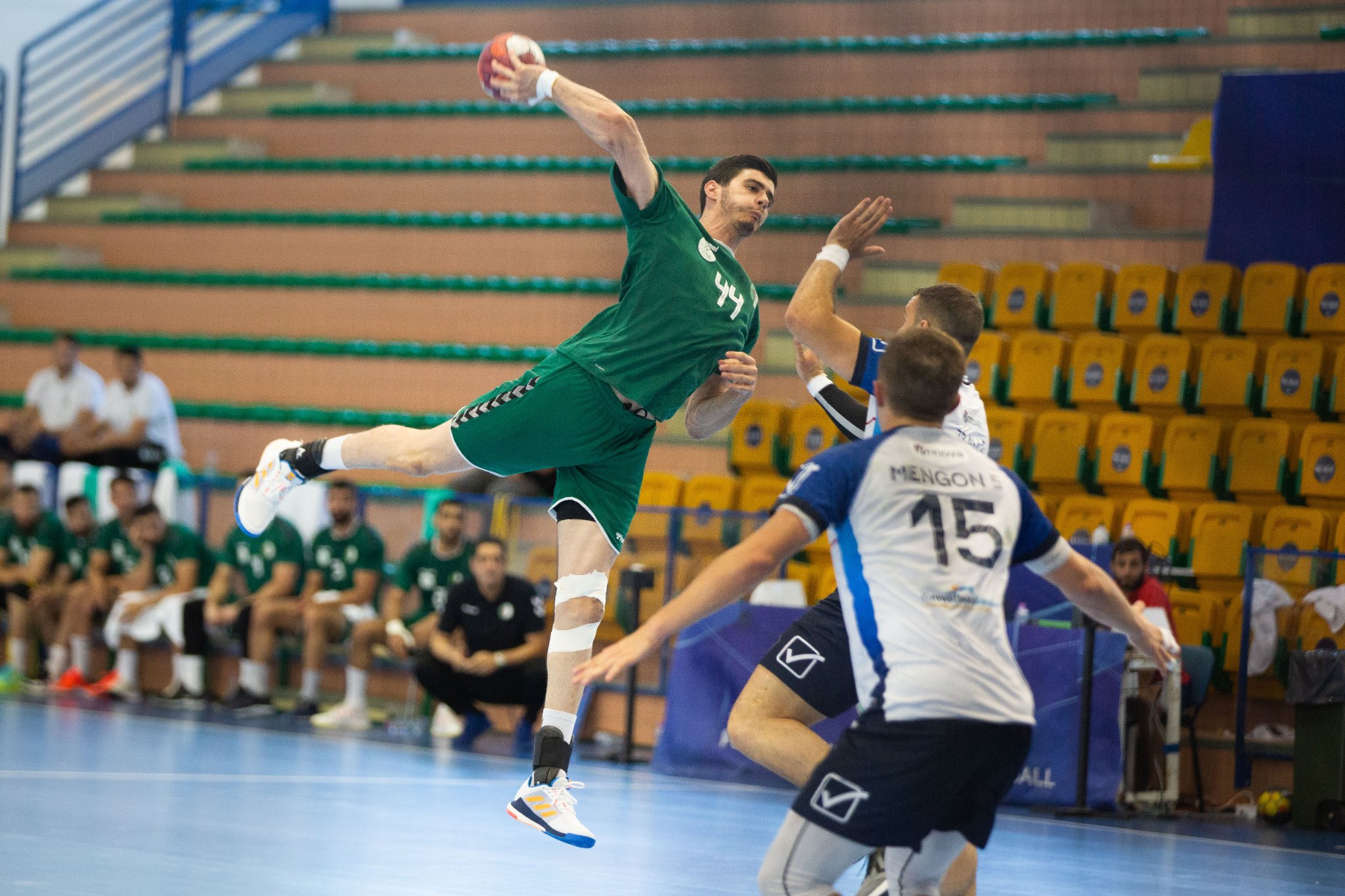 Equipe nationale de handball