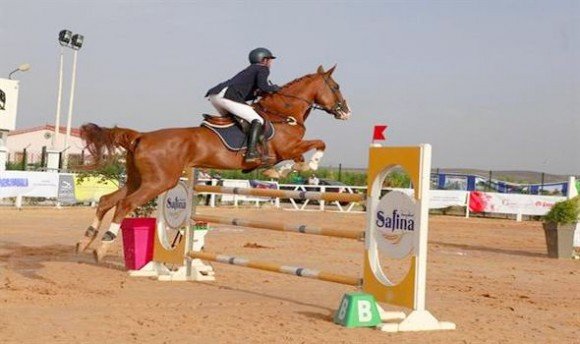 كأس الجزائر للفروسية