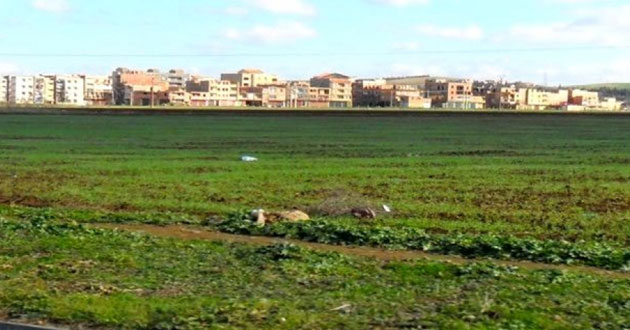 Protection des terres.12.12.2022