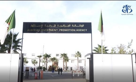الوكالة الوطنية لترقية الاستثمار