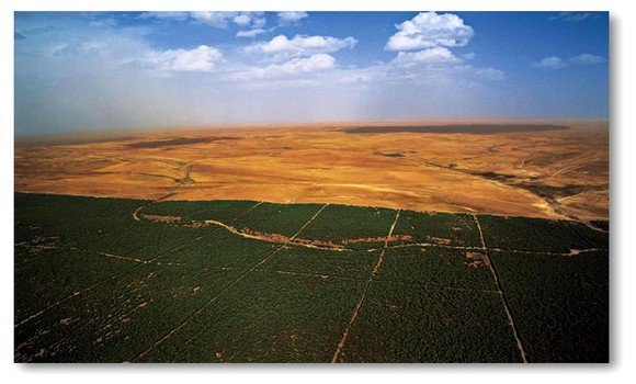 السد الأخضر