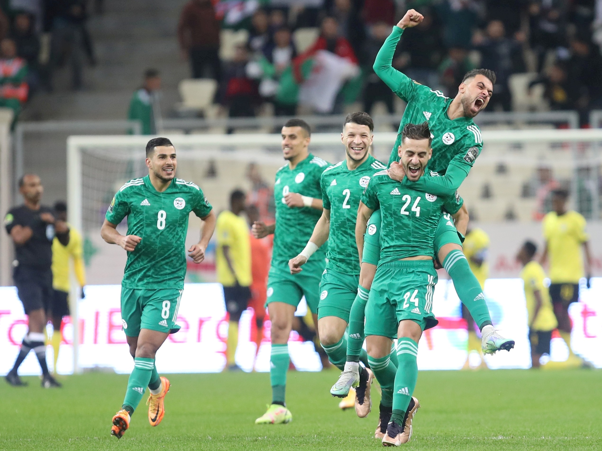 المنتخب الوطني المحلي