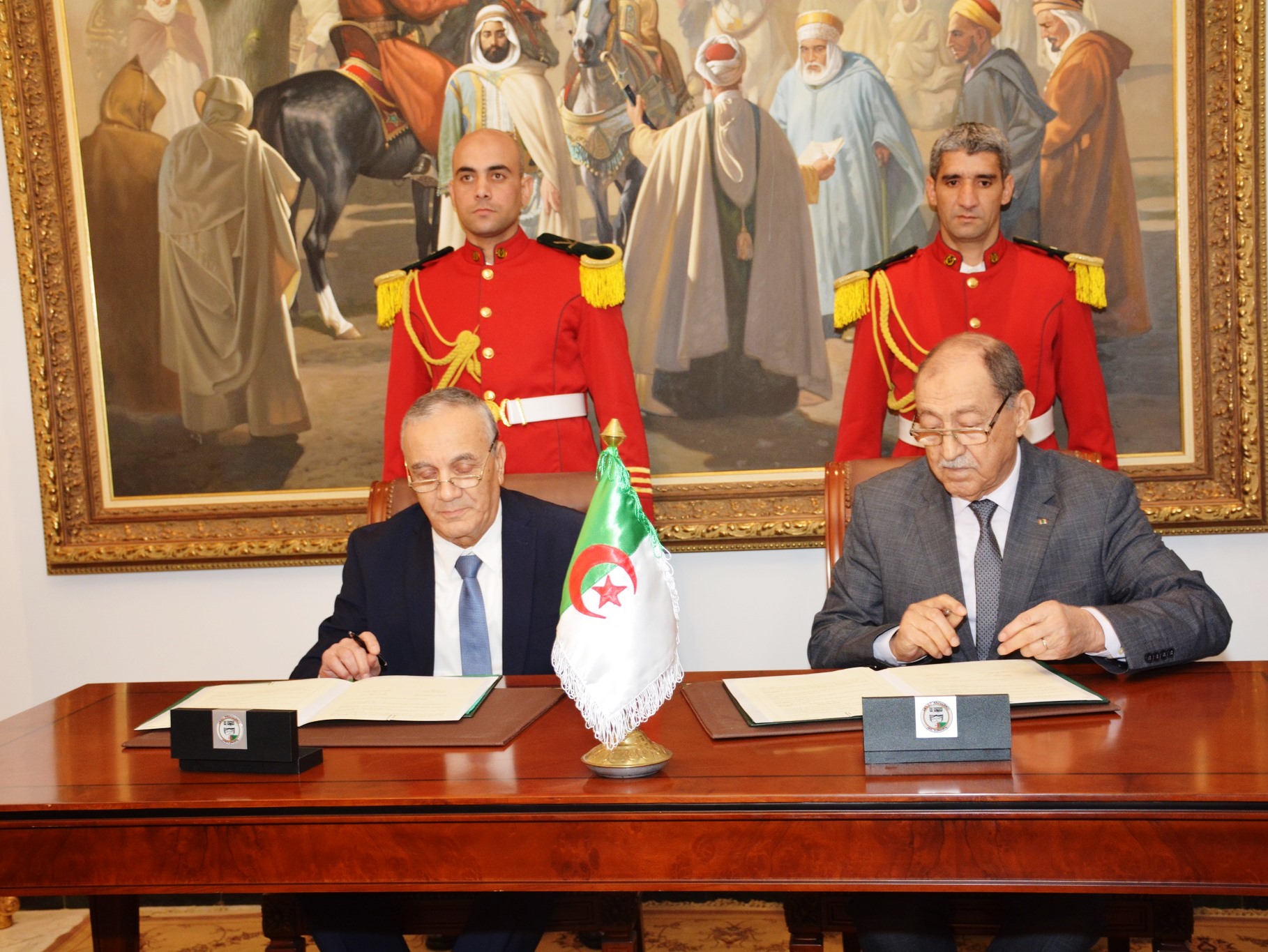 المحكمة الدستورية-مجلس الدولة