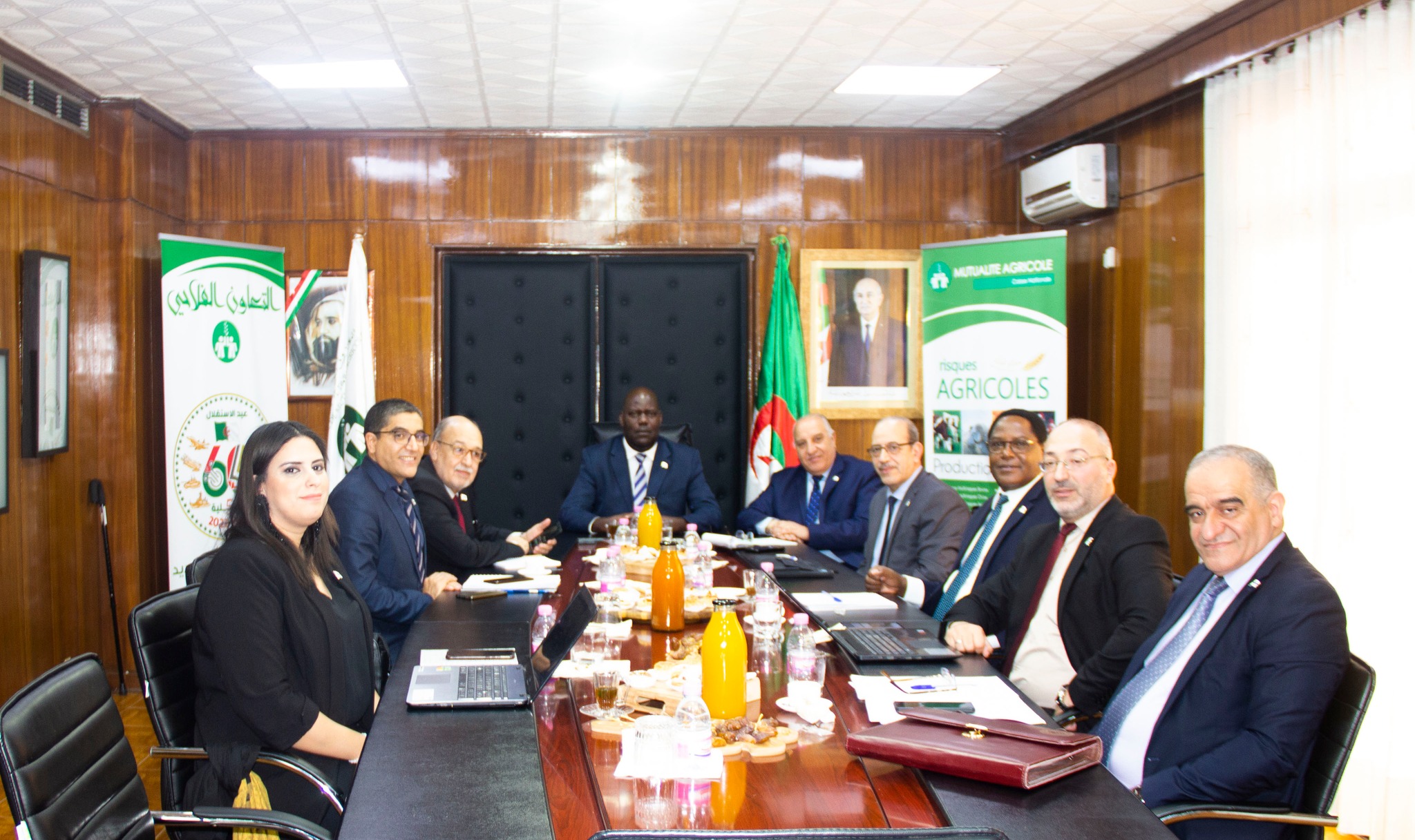 المنظمة الإفريقية للتأمينات