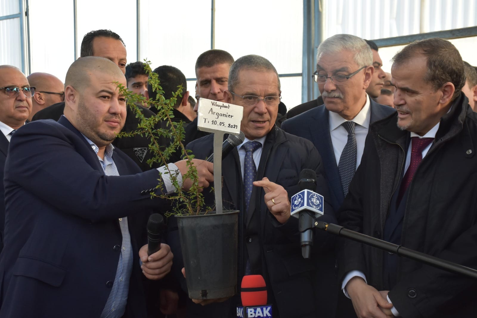 الشروع قريبا في غرس أشجار الأرقان عبر عدد من الولايات