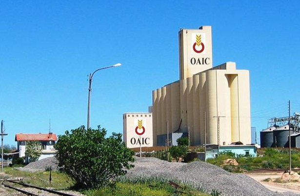 الديوان الوطني المهني للحبوب