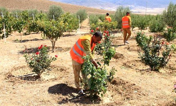 إعادة الادماج للمسجونين