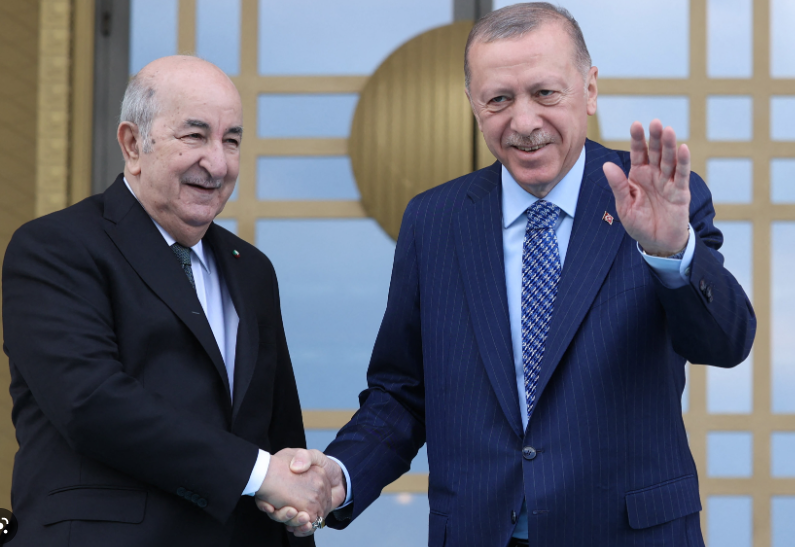 رئيس الجمهورية رفقة الرئيس التركي رجب طيب أردوعان