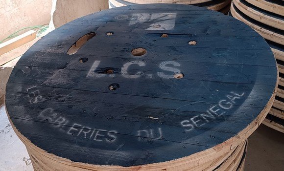 البليدة-تصدير بكر  خشبية ولواحقها