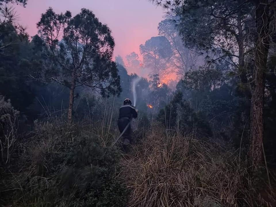 اخماد حريق غابة سيدي مروان بالشلف