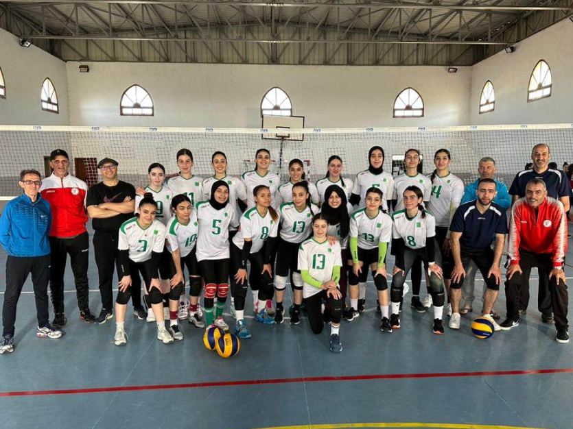 كرة الطائرة