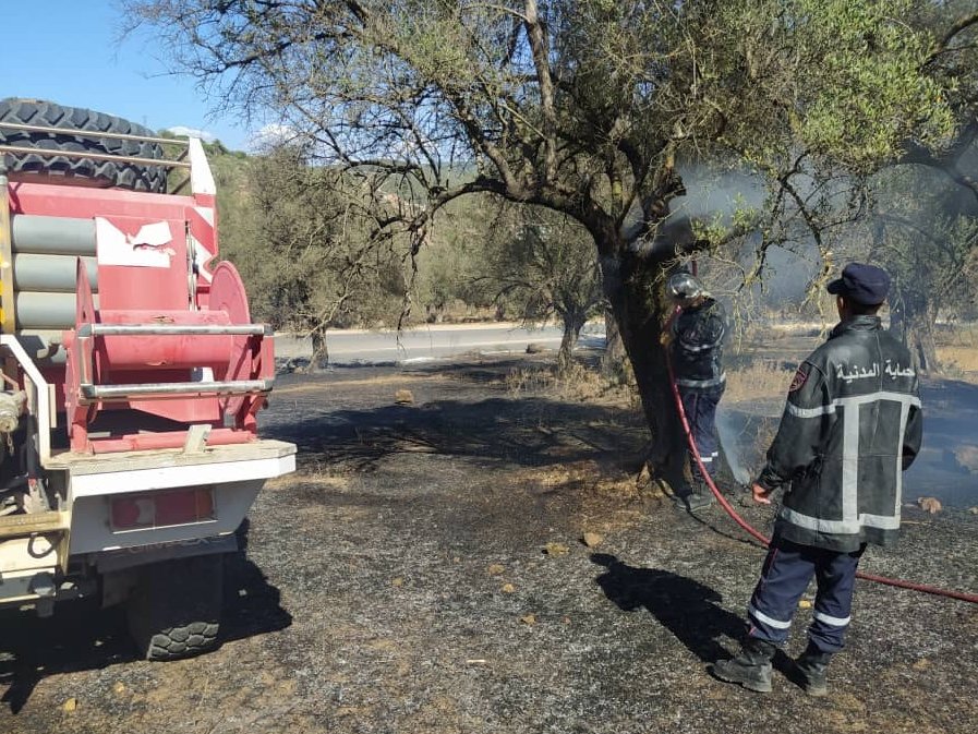 Plusieurs projets pour lutter contre les feux de forêt