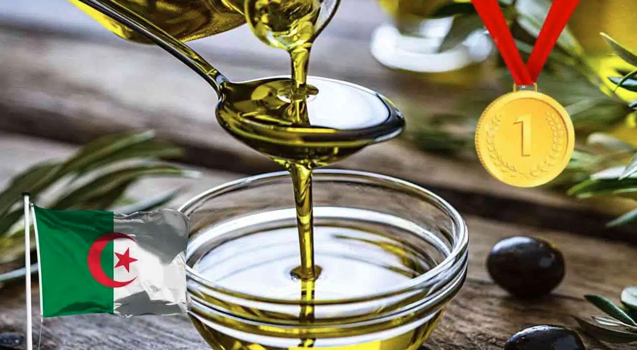 huile_olive_dz.