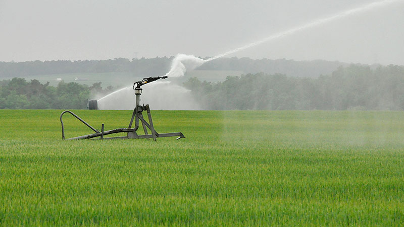 irrigation_orge.
