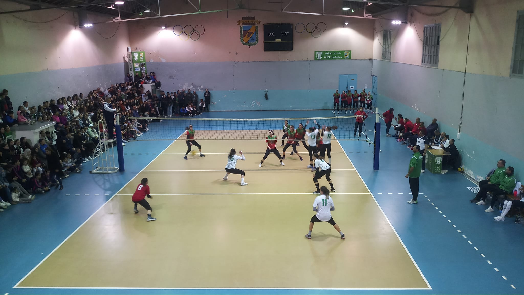 volley-ball-mbb-mca.jpg