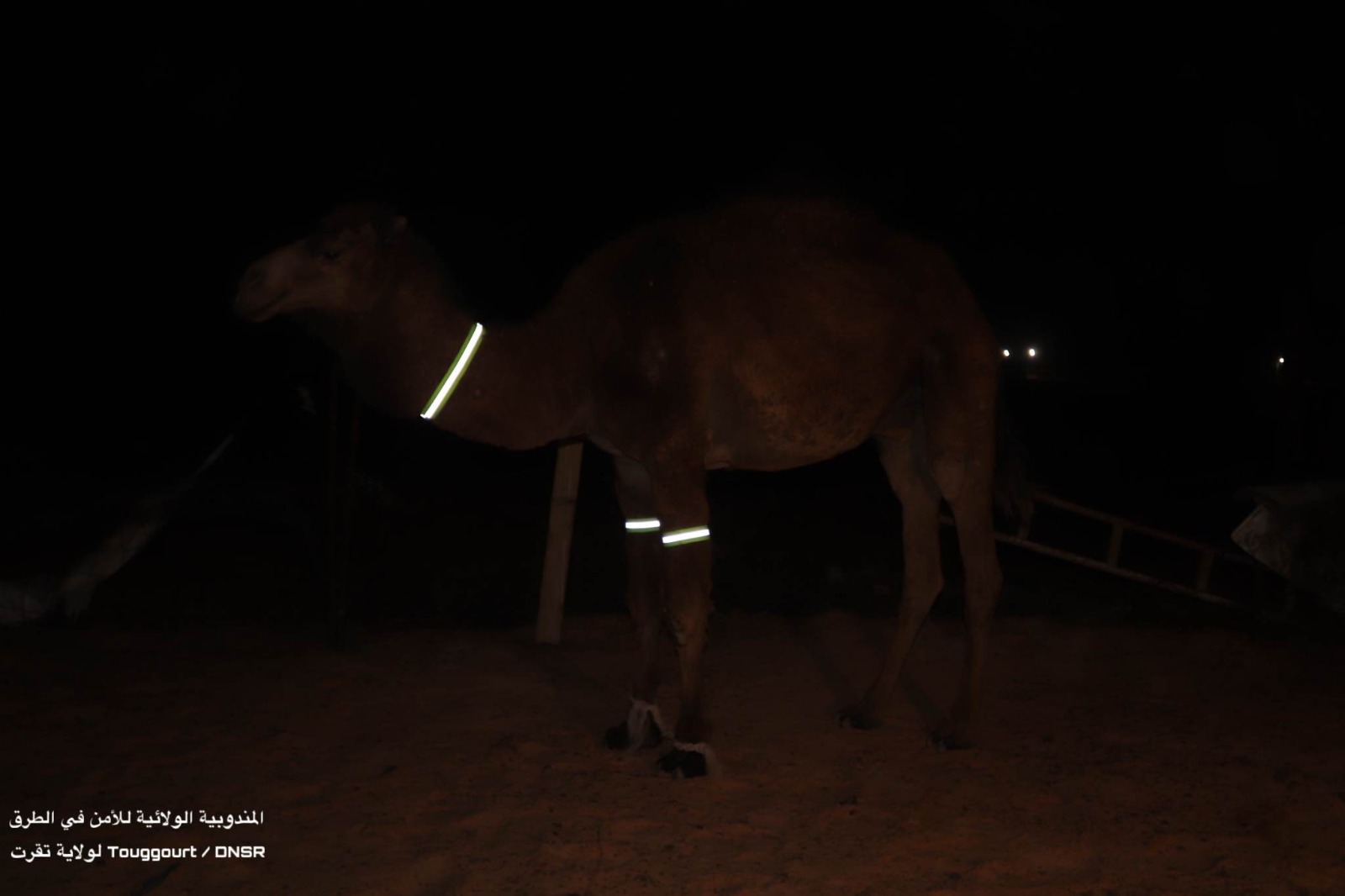 مندوبية أمن الطرق لولاية تقرت