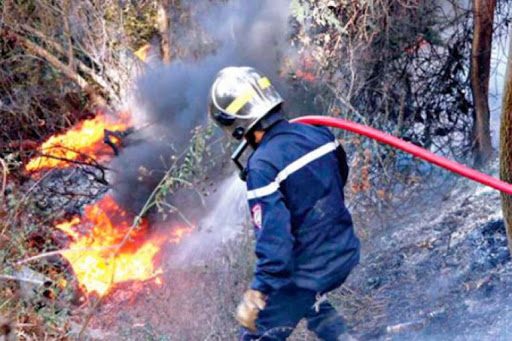 استراتيجية استباقية لمواجهة حرائق الغابات خلال موسم الصيف المديرية العامة للغابات