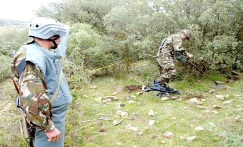 الجزائر-القضاء على الألغام المضادة للأفراد