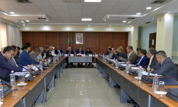 اللجنة متساوية الأعضاء لغرفتي البرلمان