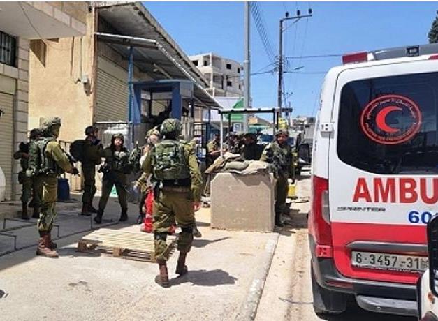 فلسطين المحتلة