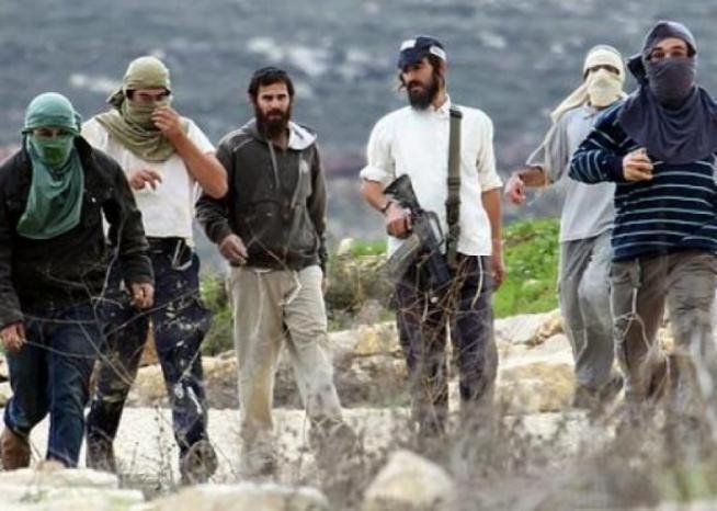 فلسطين