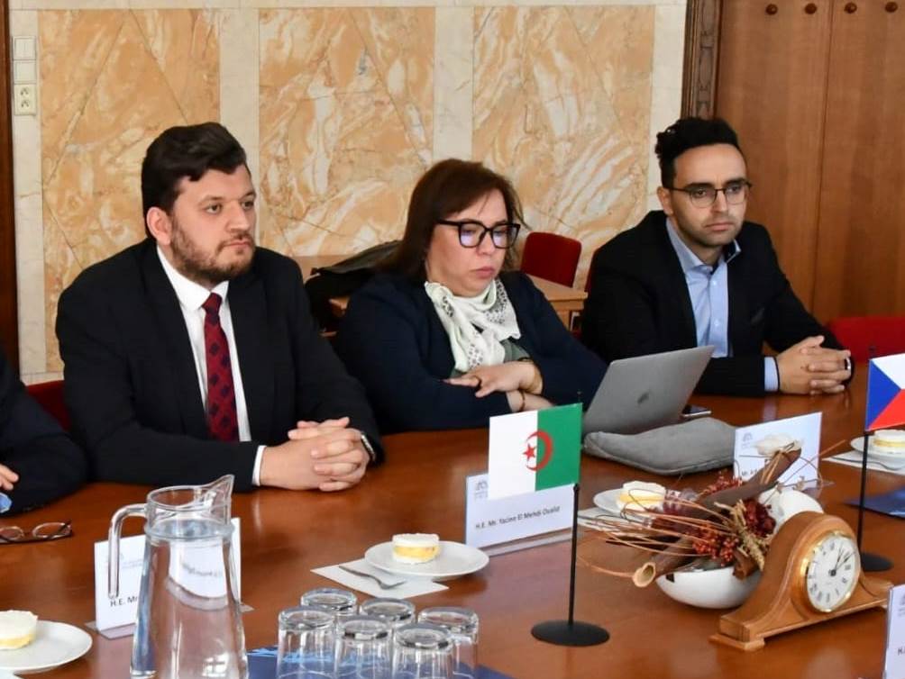 ياسين المهدي وليد